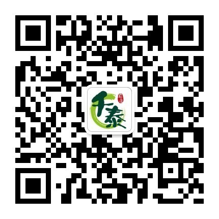 1538353020667140