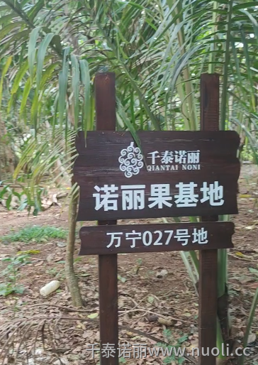 屏幕截图 2025-09-13 111440