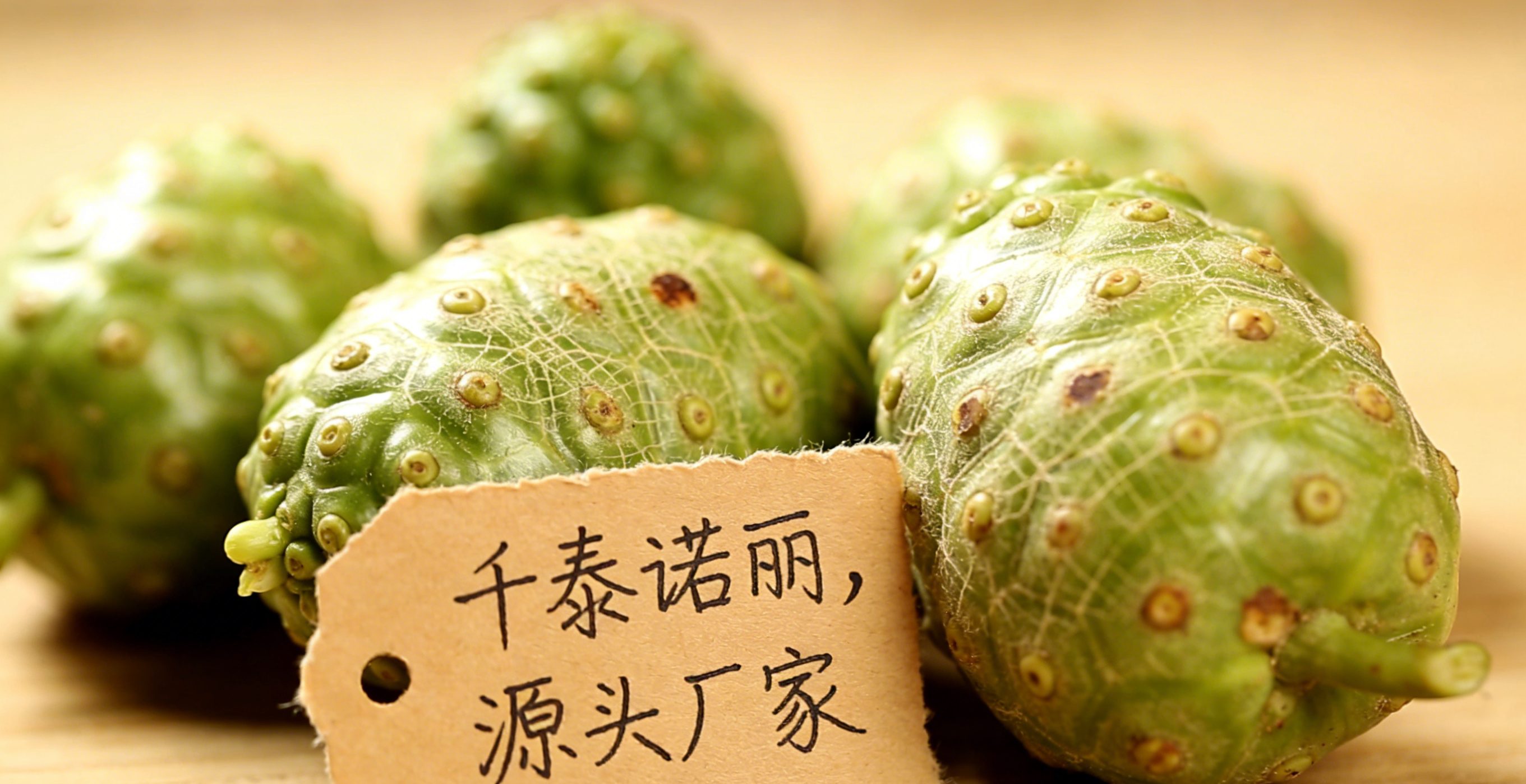 诺丽果批发诺丽果发酵