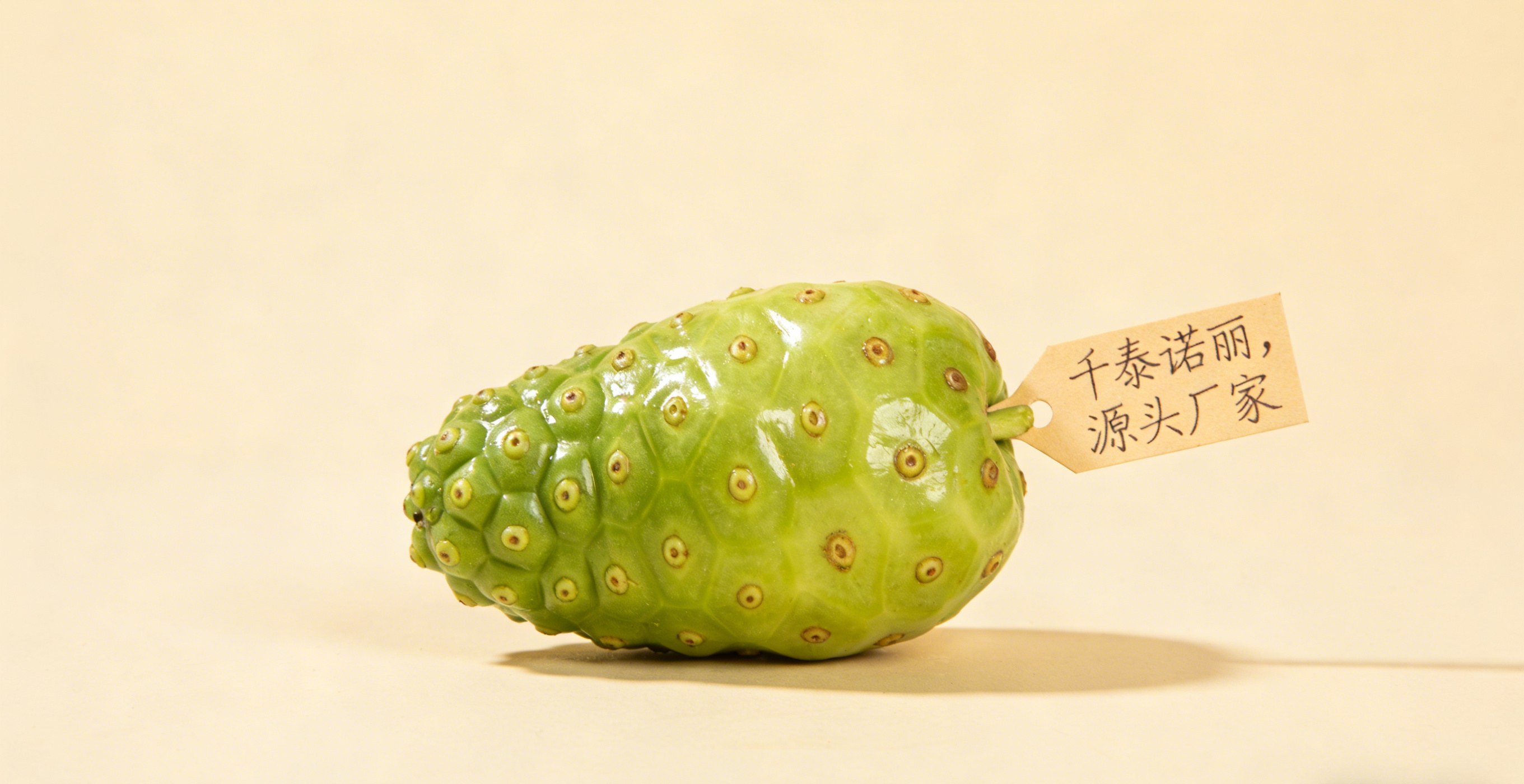 诺丽果代工工厂推荐诺丽果发酵