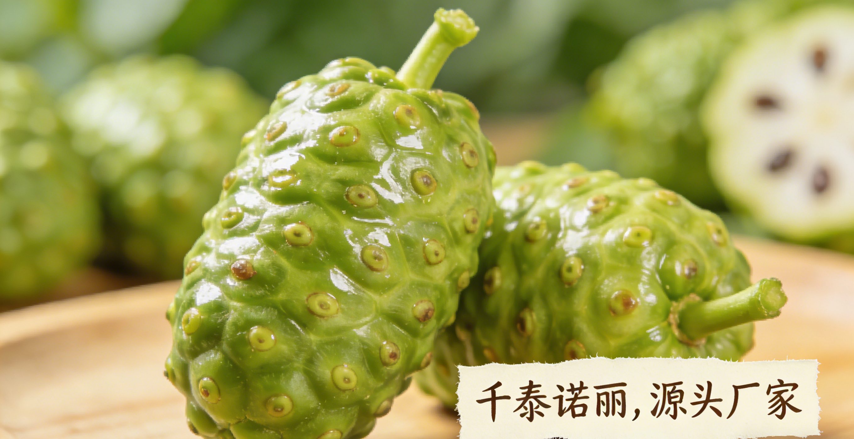 诺丽果创业项目生产车间