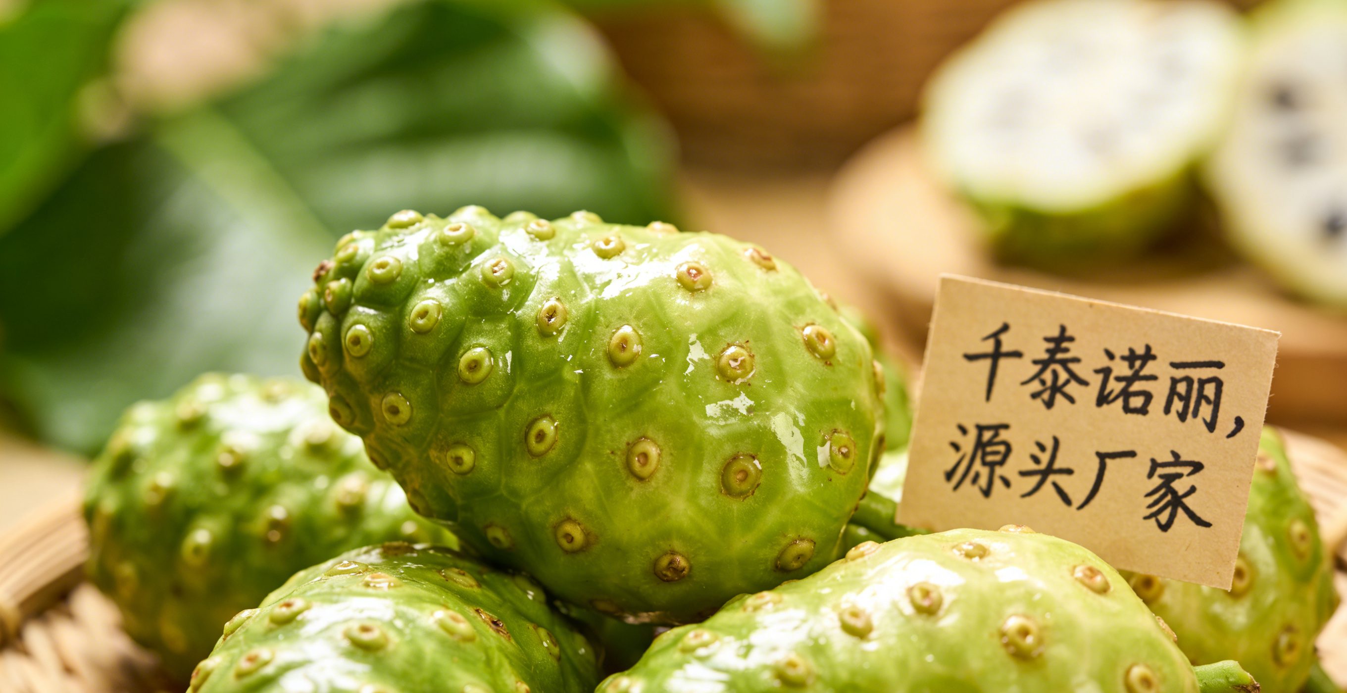 诺丽果货源批发诺丽果种植基地