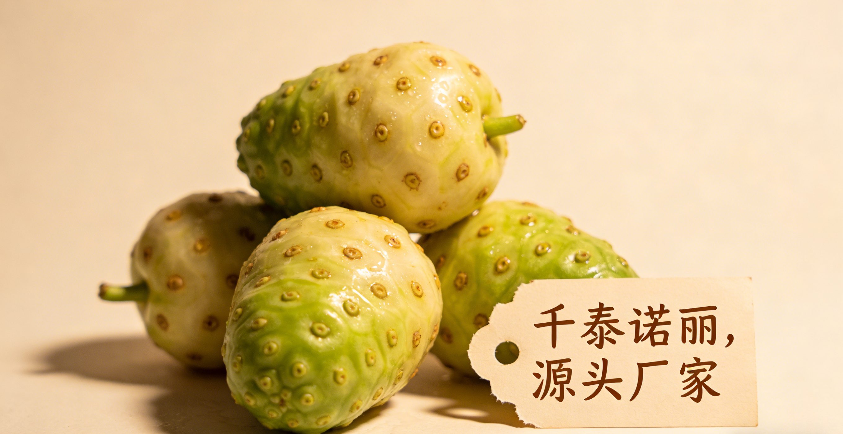 诺丽酵素原料生产车间