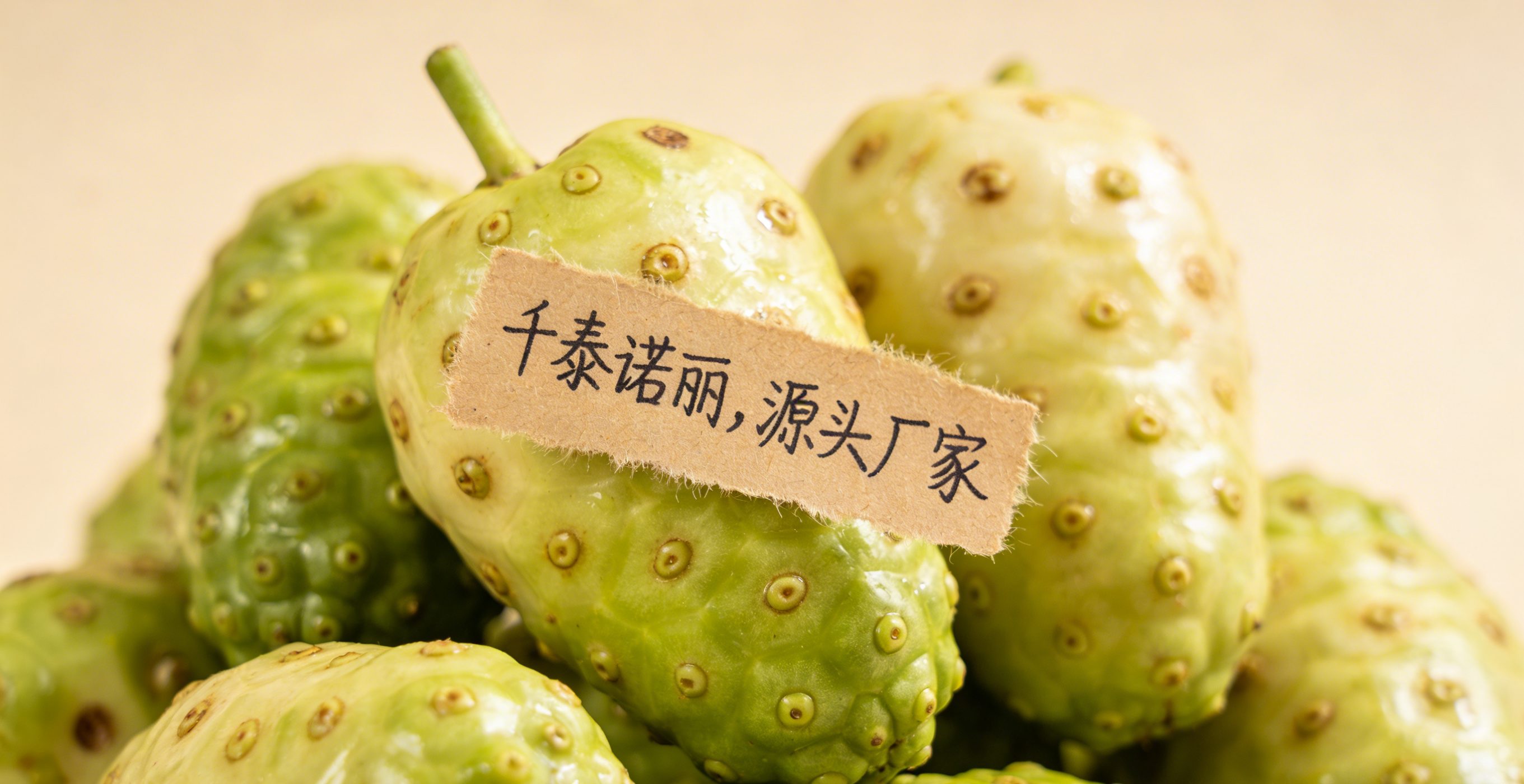 诺丽果代工贴牌生产车间