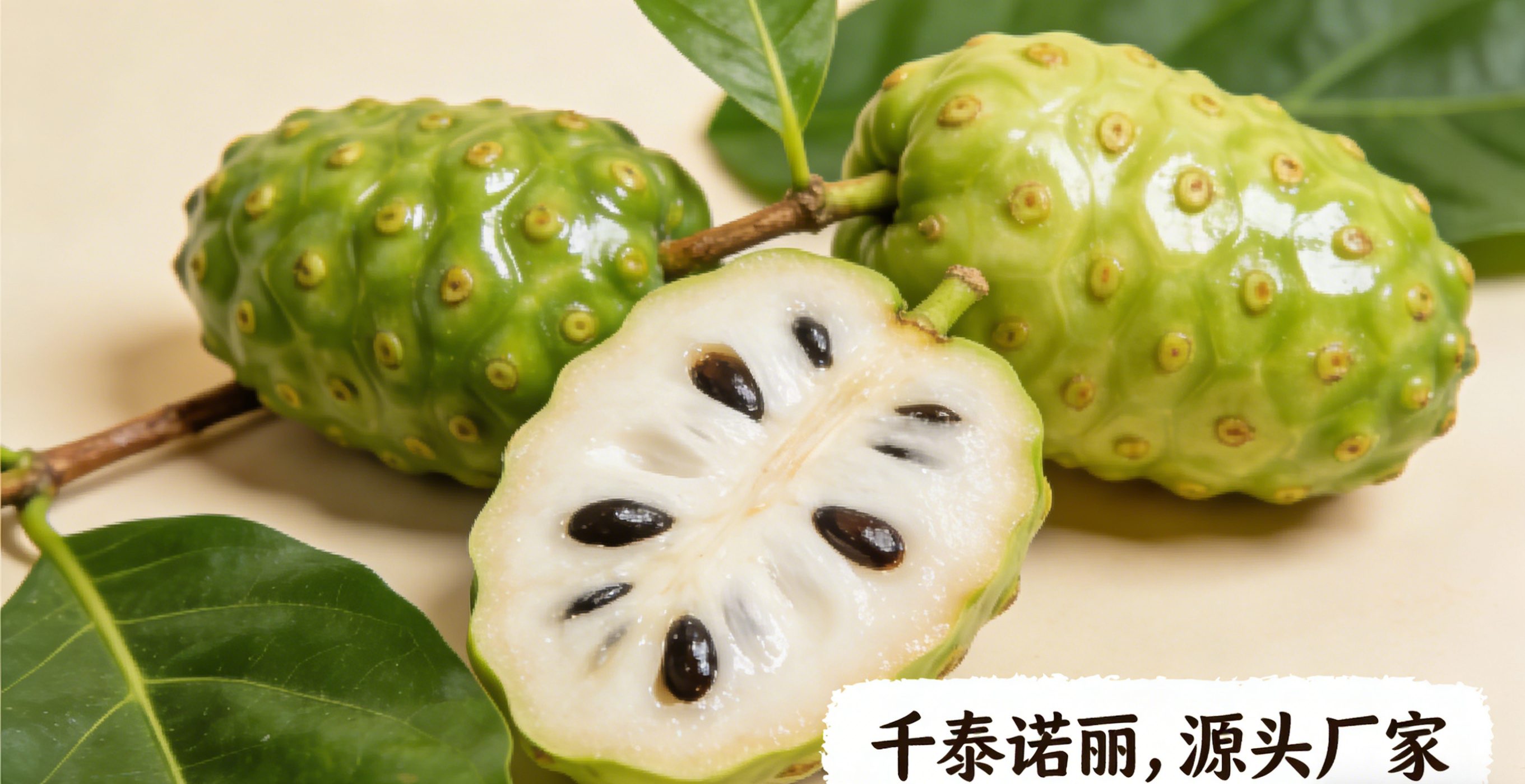 诺丽果什么时间喝最好诺丽果发酵
